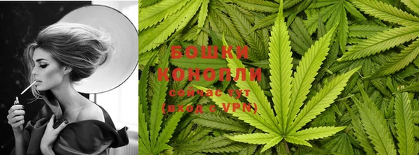 гидра Алексеевка